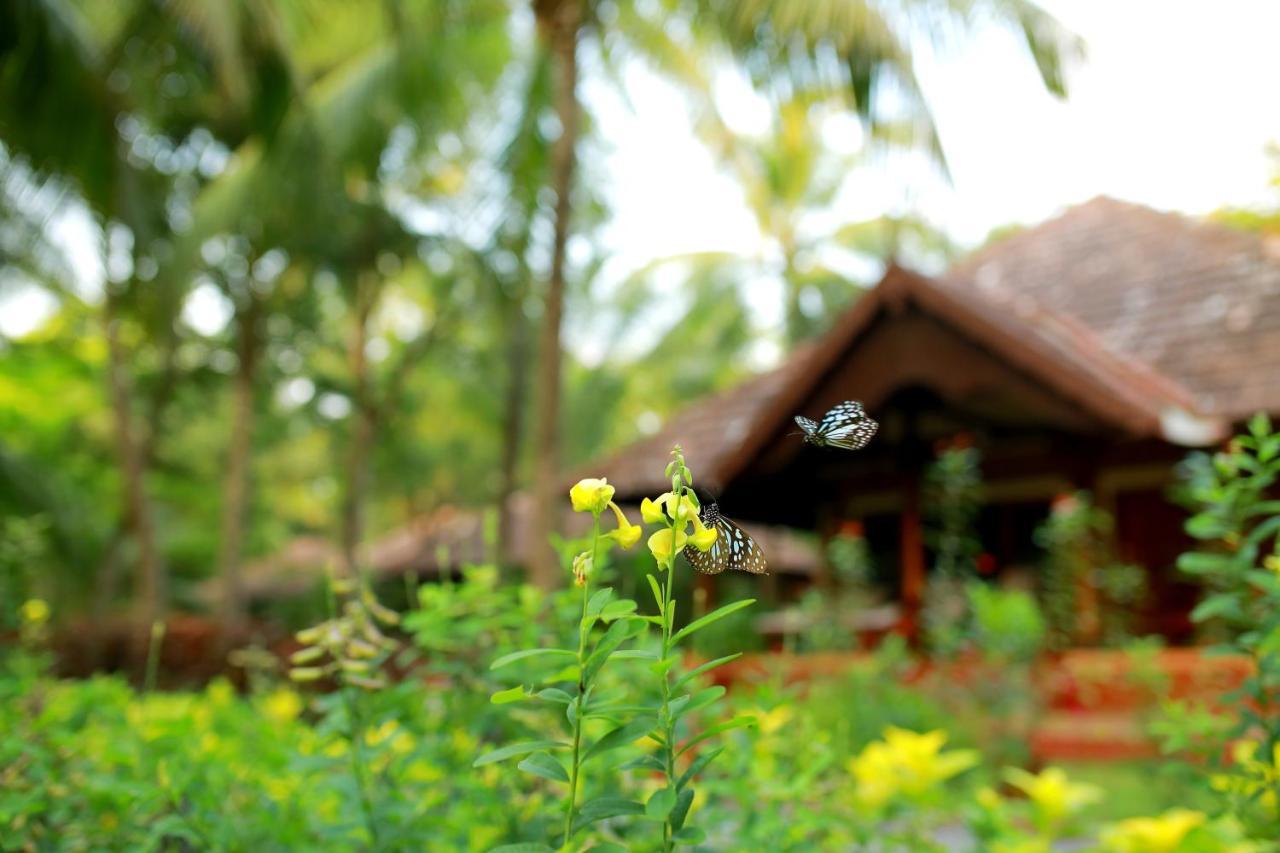 The Nattika Beach Resort Thrissur Buitenkant foto