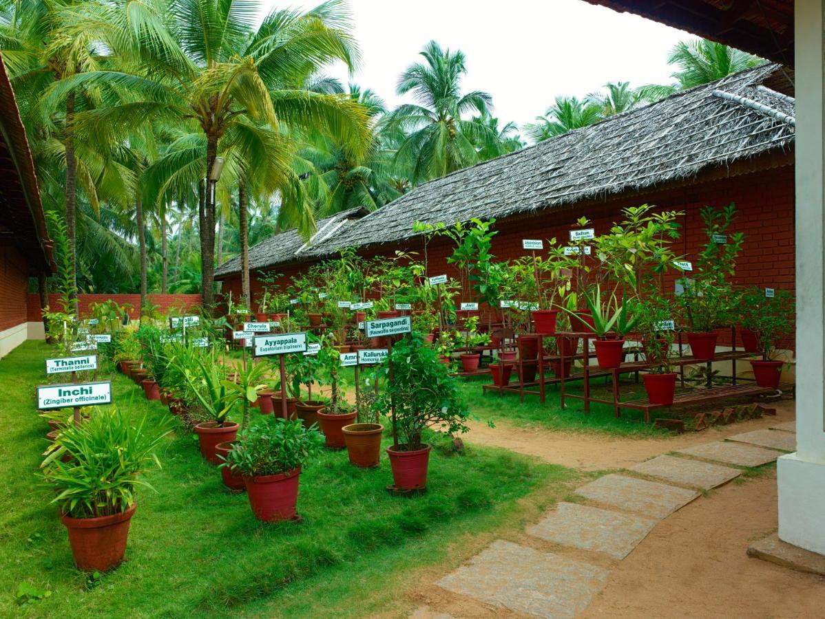 The Nattika Beach Resort Thrissur Buitenkant foto